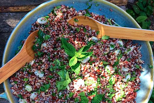 Quinoa, Red Rice & Pine Nut Picnic Salad